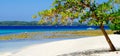 Beautiful tropical white sand beach and blue ocean Royalty Free Stock Photo