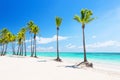 Beautiful tropical white sand beach, coconut palm trees and turquoise blue water in Punta Cana, Dominican Republic Royalty Free Stock Photo