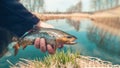 Beautiful trout in angler& x27;s hand. Fishing Royalty Free Stock Photo