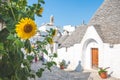 Group of beautiful Trulli, traditional Apulian dry stone wall hut old houses with a conical roof in Alberobello Royalty Free Stock Photo
