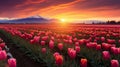 Beautiful Tulip fields at sunrise. beautiful Nature Landscape. generative AI Royalty Free Stock Photo