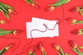 Beautiful tulips around white envelope and blank card on red background Royalty Free Stock Photo