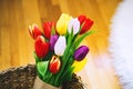 Tulips flowers in wicker straw basket