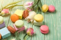 Beautiful tulips with colorful macaroons on greenery wooden back