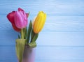 Beautiful tulips fresh vase, lovely birthday on a blue wooden background Royalty Free Stock Photo