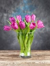 Beautiful tulips in glass vase on background Royalty Free Stock Photo
