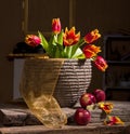 Beautiful tulips and red apples Royalty Free Stock Photo