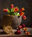 Beautiful tulips and red apples Royalty Free Stock Photo