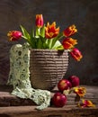 Beautiful tulips and red apples Royalty Free Stock Photo