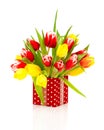 Beautiful tulips in the red polka-dot gift box. Royalty Free Stock Photo