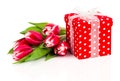 Beautiful tulips with red polka-dot gift box Royalty Free Stock Photo