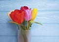 Beautiful tulips vase, on a blue wooden background Royalty Free Stock Photo