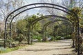 Beautiful tunnel at Descanso Garden Royalty Free Stock Photo