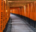 Beautiful tunnel of torii doors in the Fushimi Inari shrine of Kyoto, Japan