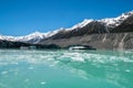 Tasman Glacier, New Zealand Royalty Free Stock Photo