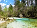 Beautiful turquoise colored Kamniska Bistrica river Royalty Free Stock Photo
