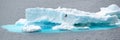 Iceberg with flying cormorant in front in Antarctic Ocean near Paulet Island Antarctica. Royalty Free Stock Photo