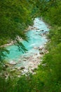 Beautiful turquoise mountain river Soca