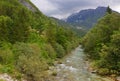 The beautiful turquoise Soca river in the green forest, Bovec, Slovenia, Europe. Royalty Free Stock Photo