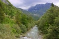 The beautiful turquoise Soca river in the green forest, Bovec, Slovenia, Europe. Royalty Free Stock Photo