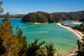 beautiful turquoise water in torrent bay , abel tasman national park, southern island new zealand Royalty Free Stock Photo