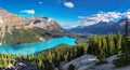 Beautiful turquoise waters of the Peyto Lake in Banff National Park, Canada Royalty Free Stock Photo