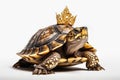 Beautiful Turtle In Gold Crown On White Background. Generative AI