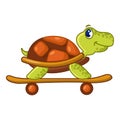 Beautiful turtle icon, cartoon style