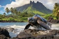 Beautiful turtle on stone beach with ocean, mountains, and palm trees. Copy space