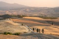 Beautiful Tuscanian landscape with dirt track sided by cypress trees Royalty Free Stock Photo