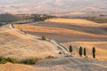 Beautiful Tuscanian landscape with dirt track sided by cypress trees Royalty Free Stock Photo