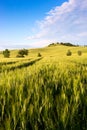 Beautiful Tuscany landscape near Siena Royalty Free Stock Photo