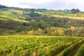 Beautiful Tuscany landscape of vineyard and hills in autumn, Chianti, Italy