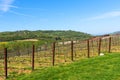 Beautiful Tuscany landscape with vineyards in Chianti in spring. Tuscany, Italy Royalty Free Stock Photo