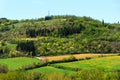Beautiful Tuscany landscape with vineyards in Chianti in spring. Tuscany, Italy Royalty Free Stock Photo
