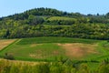 Beautiful Tuscany landscape with vineyards in Chianti in spring. Tuscany, Italy Royalty Free Stock Photo