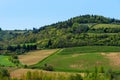 Beautiful Tuscany landscape with vineyards in Chianti in spring. Tuscany, Italy Royalty Free Stock Photo