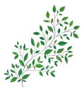 Beautiful twig with green leaves. Hand drawn vector illustration.