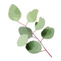 Beautiful twig with green leaves illustration on background. Stylish design