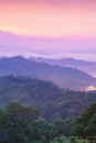 Beautiful twilight landscape in rain forest.