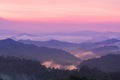 Beautiful twilight landscape in rain forest.