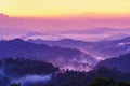 Beautiful twilight landscape in rain forest.