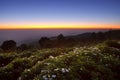 Beautiful twilight time.Morring sunrise at Huai Nam Dang National Park, Chiang Mai, Thailand