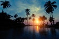 Beautiful twilight on tropical beach with silhouettes of palm trees. Asia. Royalty Free Stock Photo
