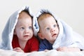 Beautiful twin babies Royalty Free Stock Photo