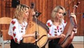 Beautiful twin sisters playing banduras - Ukrainian string instrument