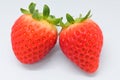 beautiful two fresh red strawberry isolated on white background Royalty Free Stock Photo