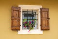 A beautiful typical Italian window with steel bars, brown wooden shutters and a purple petunia plant Royalty Free Stock Photo