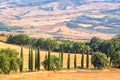 Beautiful typical landscape of Tuscany with cypress trees, Tuscany Italy