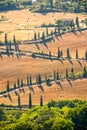 Beautiful typical landscape of Tuscany with rows of cypresses, La Foce, Tuscany, Italy Royalty Free Stock Photo